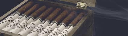 ALEC BRADLEY  BLACK MARKET TORO (22)