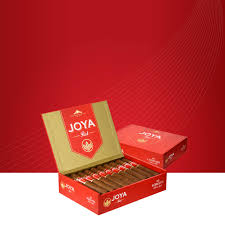 JOYA RED CANONAZO(51/2X54)(20)