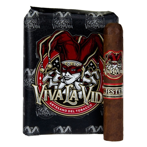 [INTREF003016] DIADEMAS FINAS VIVA LA VIDA BUNDLE 6 1/2X52  (10)