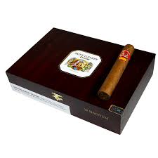 [INTREF009437] SAINT LUIS REY CARENAS MAGNUM (60X6)