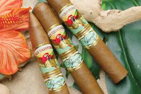 [INTREF001184] ASHTON SAN CRISTOBAL ELEGANCIA CORONA (25)