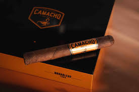 [INTREF002071] CAMACHO BORADLEAF GORDO Ce (20)