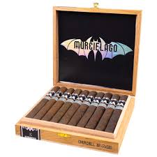 [INTREF003574] ESPINOSA MURCIELAGO CHURCHILL (BP)7 X 50 (20)