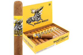 [INTREF002461] CHILLIN' MOOSE SHADY MOOSE ROBUSTO 51/2X50 BOX20