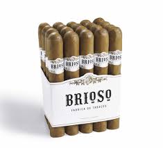 [INTREF001979] BRIOSO TORO 6 X 54 (20)