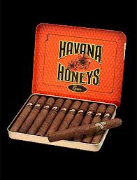 [INTREF004618] HAVANA HONEYS RUM Cigarillos4x305Packsof10(50)