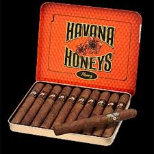 [INTREF004616] HAVANA HONEYS HONEY CIGARILLO S4X3 10/5 TINS (50)