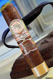 [INTREF006500] MY FATHER THE JUDGE TORO 6X56 BP (23)