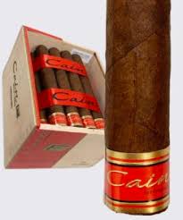 [INTREF002036] CAIN F 5.75 X 50 (12) OLIVA