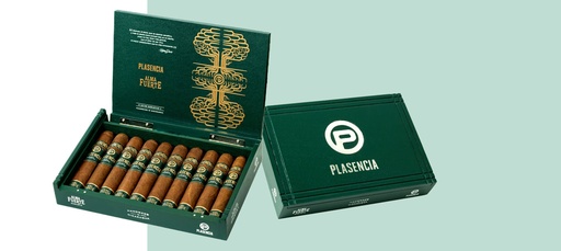 [INTREF008139] PLASENCIA ALMA DEL FUERTE SIXTO II 6X60  (10)